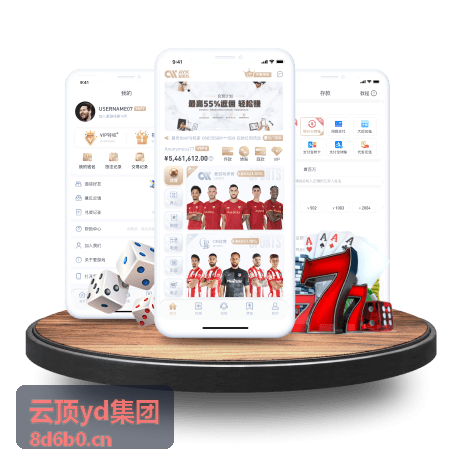 云顶yd集团顾问团队正在开展企业战略闭门会